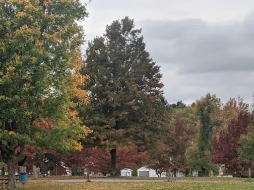 McCandless Plumbing & Excavation helps keep neighborhood homes safe and clean, shown by houses near trees in autumn.