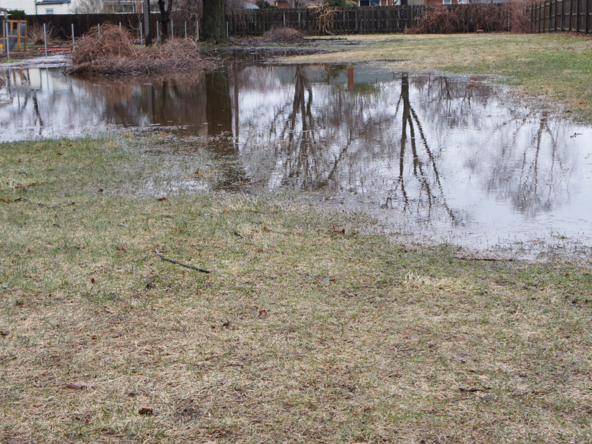 Flooded yard suggests a septic problem needing inspection by McCandless Plumbing & Excavation.
