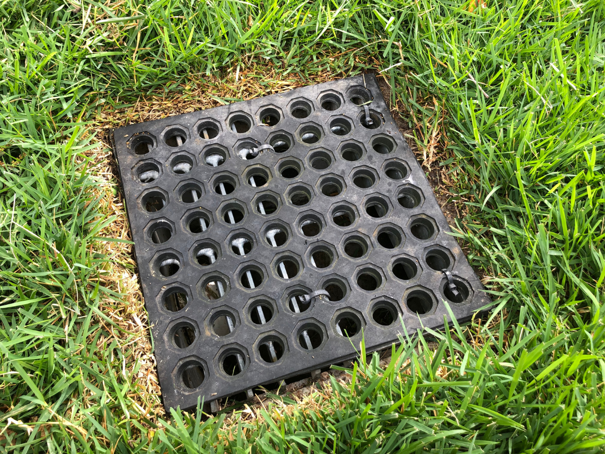 McCandless Plumbing & Excavation drain cover marks a spot for regular maintenance in a grassy yard with signs of past work.