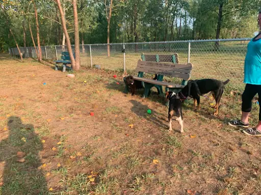 McCandless Plumbing & Excavation team takes a break outdoors with dogs, enjoying some fresh air after a job.