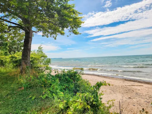 McCandless Plumbing & Excavation services work smoothly with nature, keeping beaches and grassy areas clean and safe.