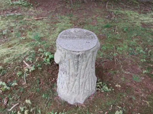 A marker from McCandless Plumbing & Excavation shows where past work was done, with a plaque noting their service.