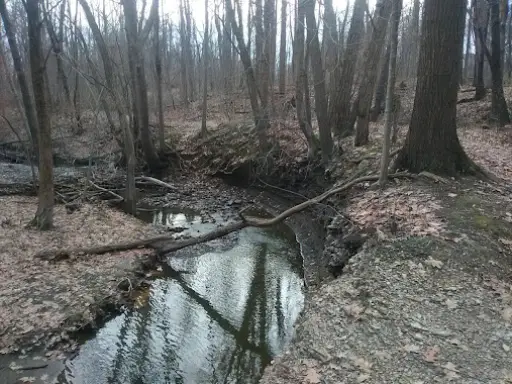 The scene shows a quiet wintry area, like places McCandless Plumbing & Excavation checks for septic system issues.