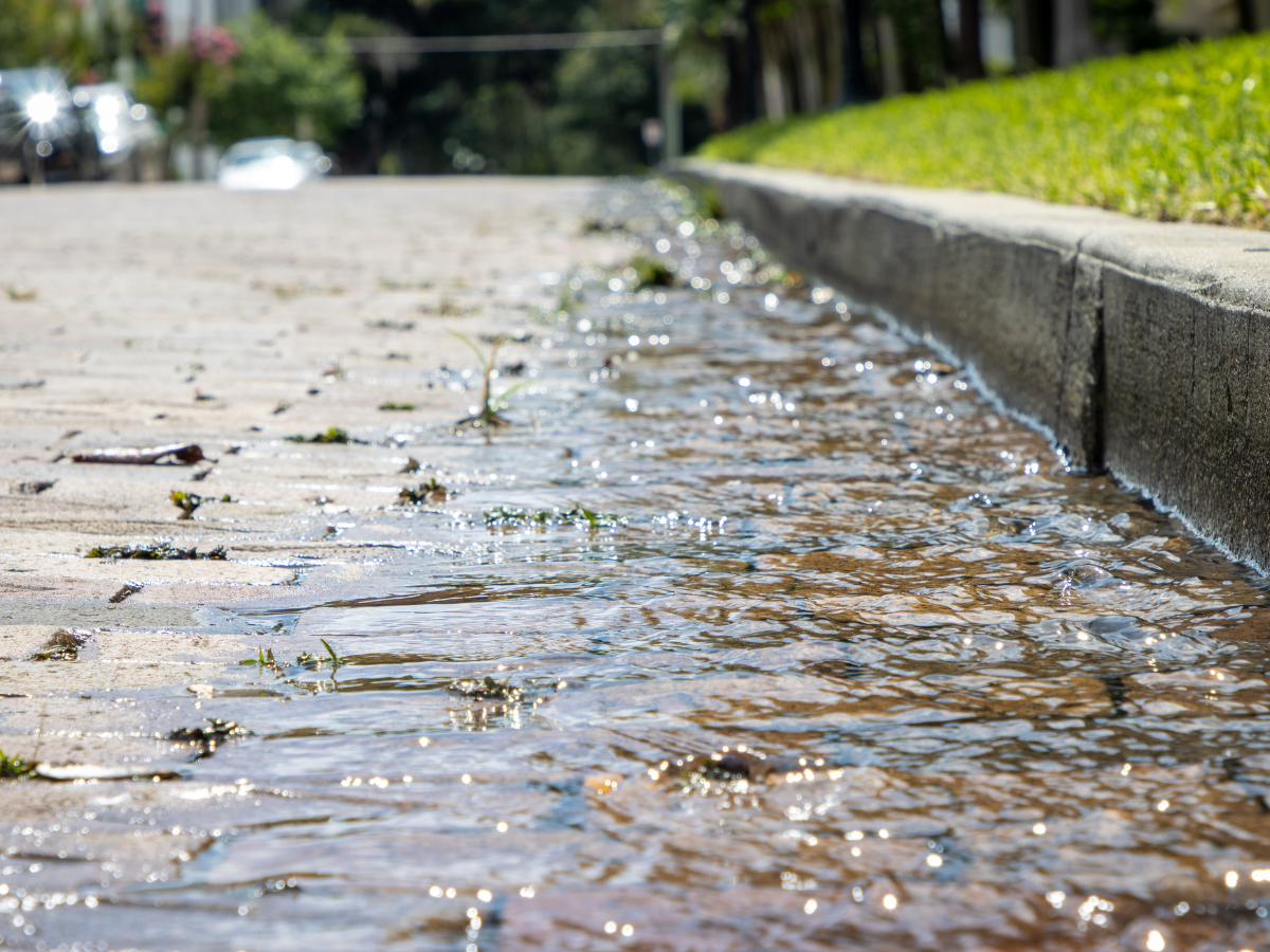 Water collecting near a street curb after rain, showing a need for McCandless Plumbing & Excavation repair or cleaning.