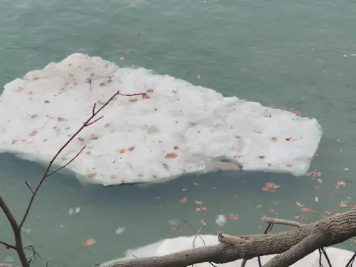 Trust McCandless Plumbing & Excavation to help keep your septic system working well all year. Regular checks matter.