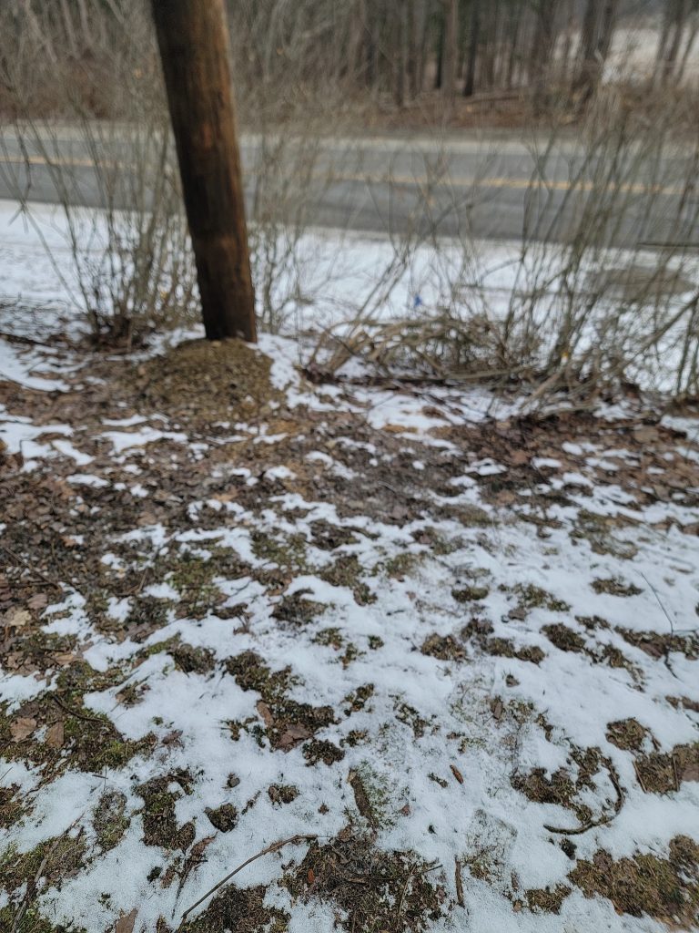 McCandless Plumbing & Excavation works in snowy, cold areas with light traffic and limited vegetation during winter.